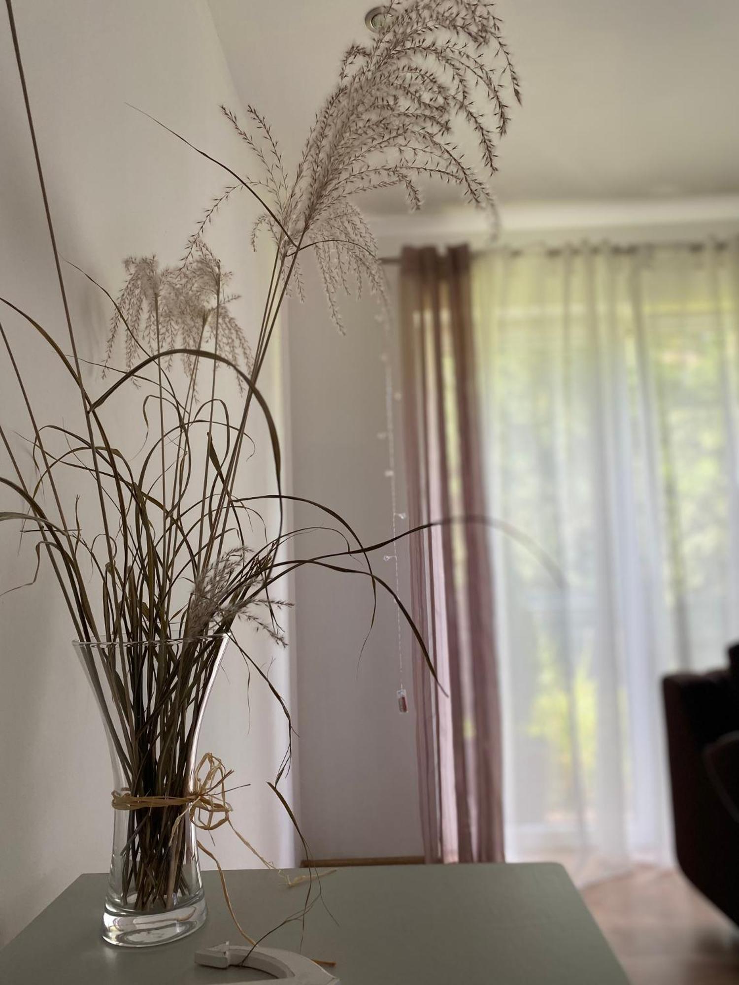 Villa Borkowka Choczewo Esterno foto